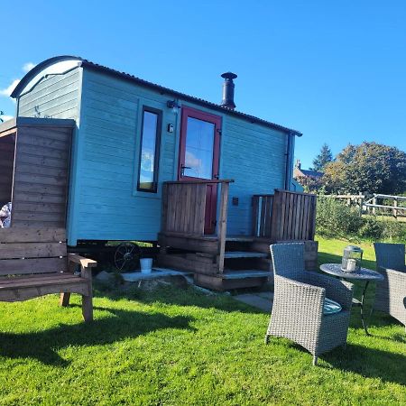 The Shepherds Hut At Forestview Farm Greenisland Exteriér fotografie