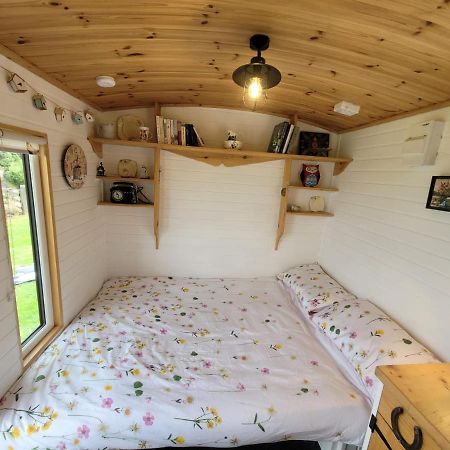 The Shepherds Hut At Forestview Farm Greenisland Exteriér fotografie