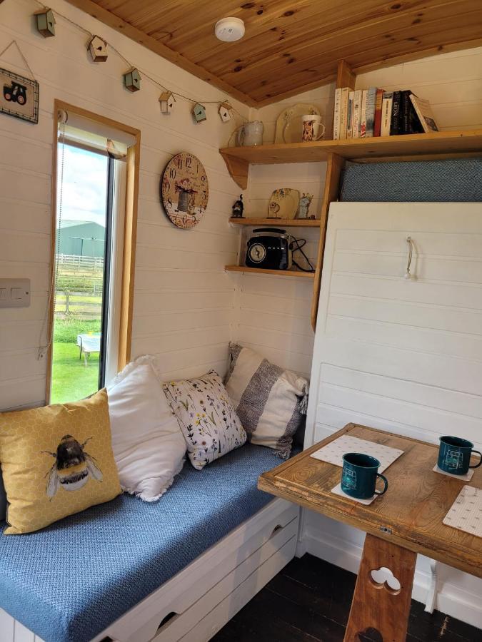 The Shepherds Hut At Forestview Farm Greenisland Exteriér fotografie